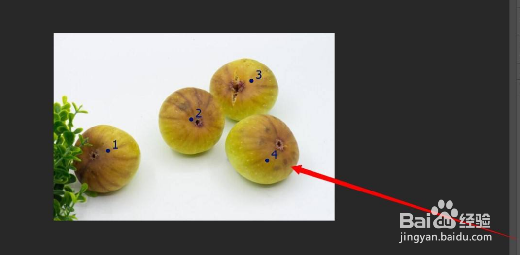 PS怎么使用计数工具