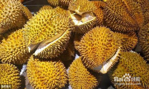 怎么挑选榴莲？