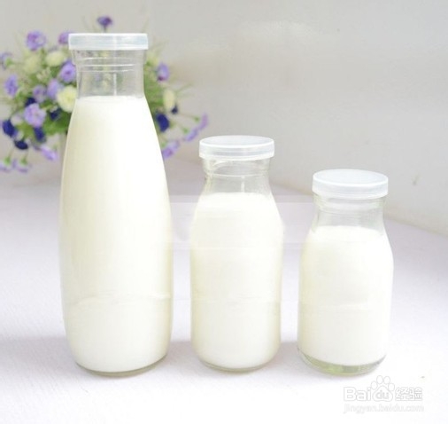 用米乳粉发酵纯植物基的椰香流动型酸奶