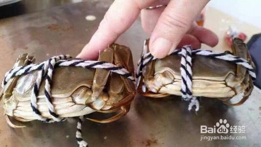 买大闸蟹要如何去挑最好最肥的呢