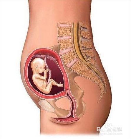 准妈妈腹痛如何判断是否需要上医院