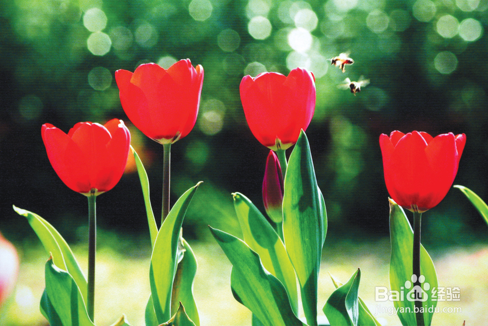 新手应该怎样学习摄影?