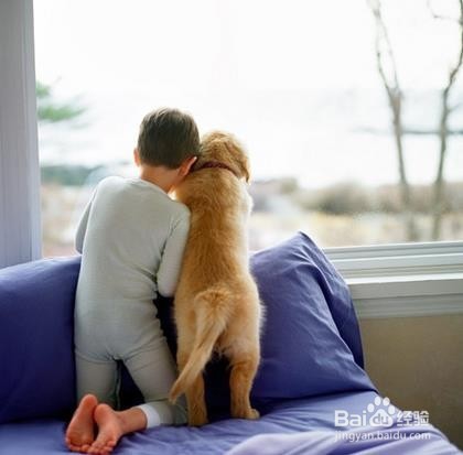 血管该如何清洁(吃什么食物)