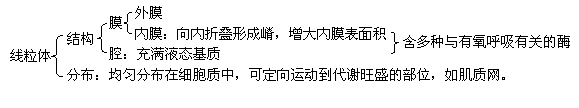 高中生物学习方法：[47]线粒体