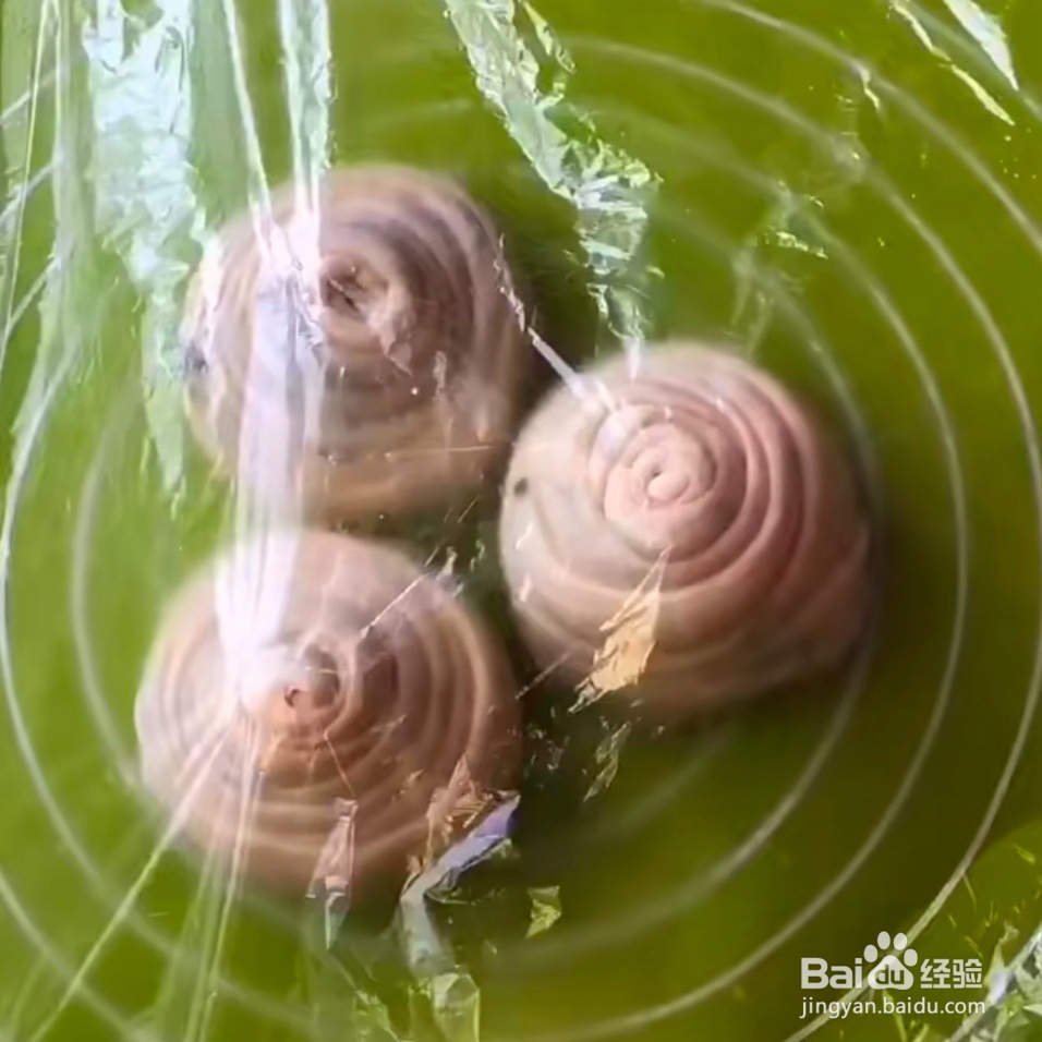 2020葱花小饼做法