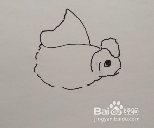 线描画:金鱼怎么画,如何画金鱼