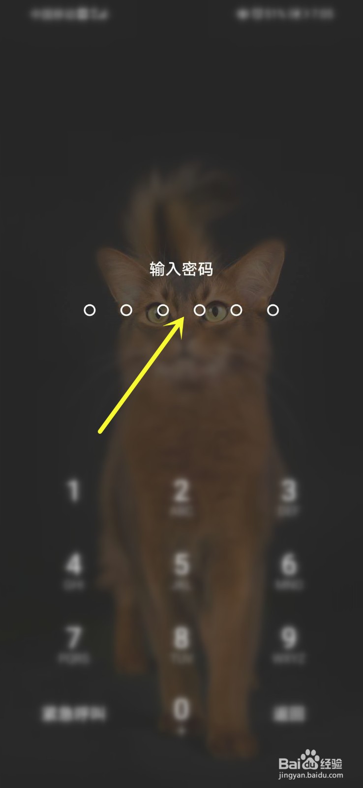 如何查看建行生活的信息接收同意书？