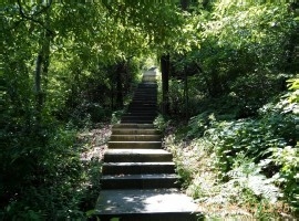 怎么打发闲余时间呢？