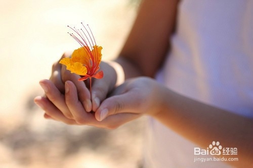 分手后女生如何快速走出痛苦的世界