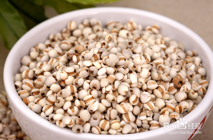 薏米的养生功效有哪些