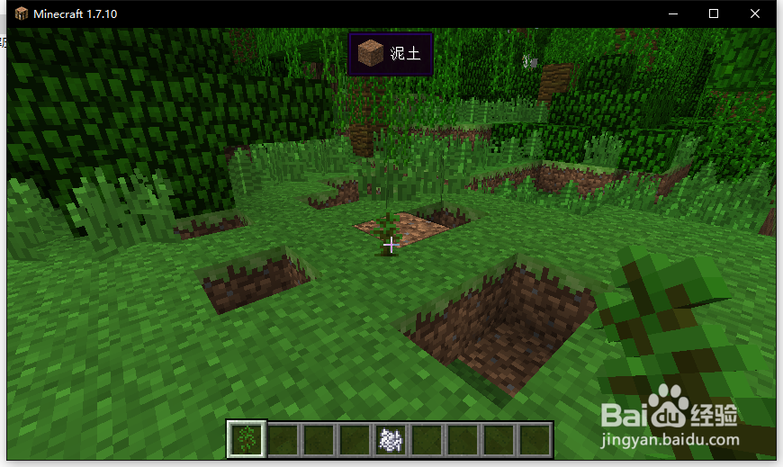 我的世界巨形树教程