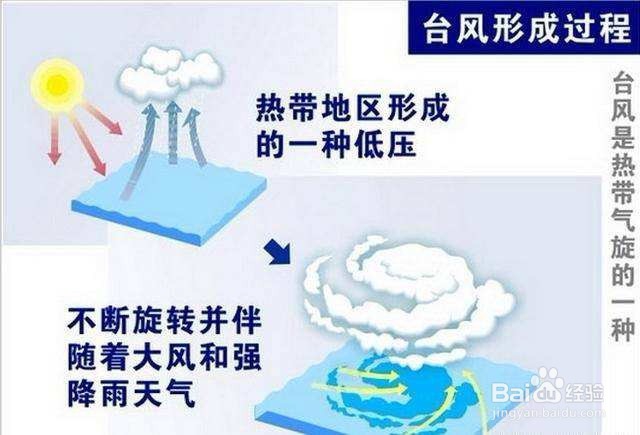 台风是怎么形成的