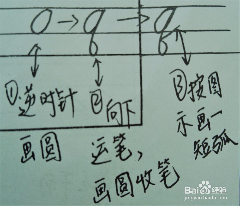 如何手写圆体英文字母系列之“Qq”