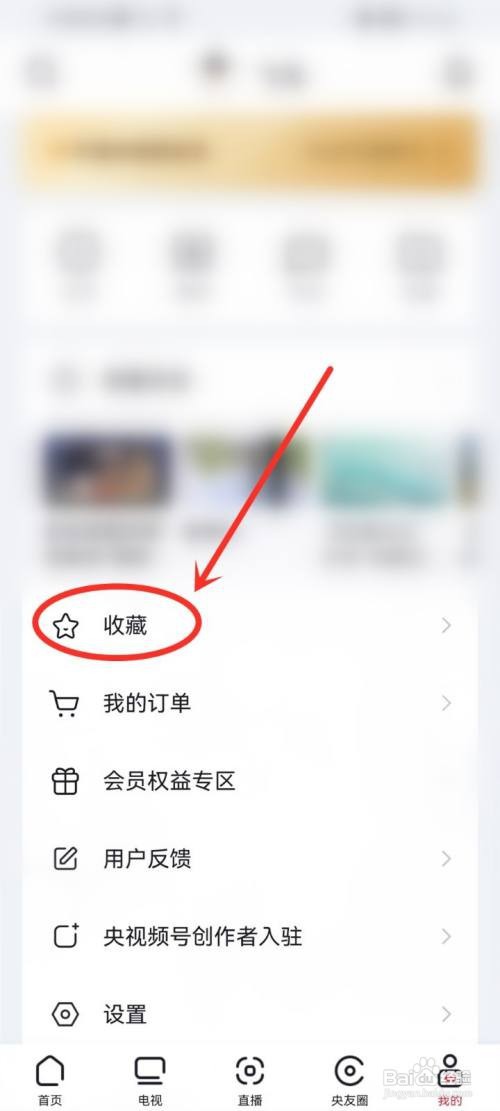 央视频收藏频道如何打开