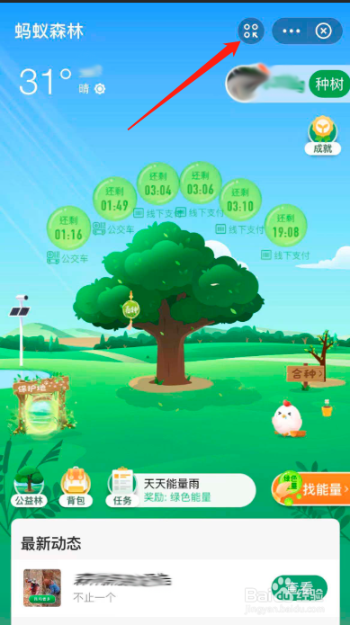 如何将蚂蚁森林移至支付宝首页？