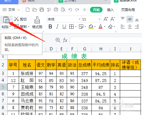 wps整页复制包括图片图片