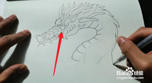 中国龙怎么画简单漂亮又霸气