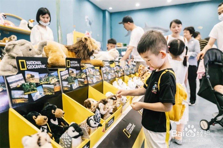 乐不思“暑”，水乡周庄研学亲子游攻略