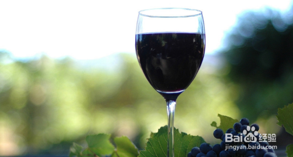 葡萄酒怎么喝更健康?