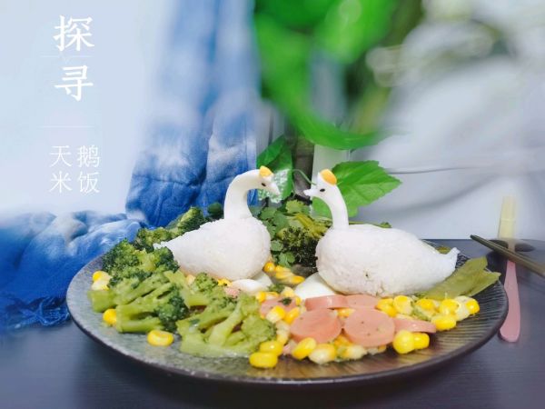 蔬菜汤汁天鹅米饭