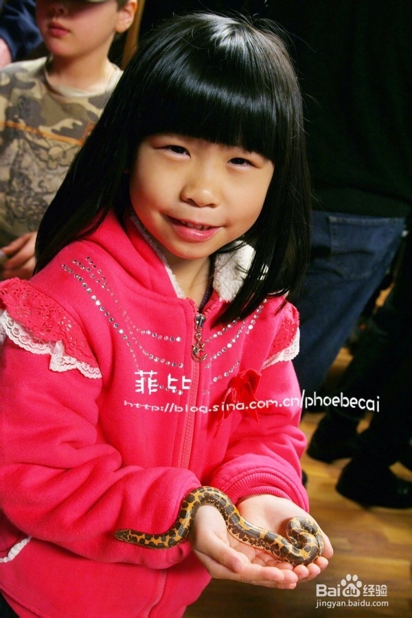 温哥华自然公园珍奇爬行动物展