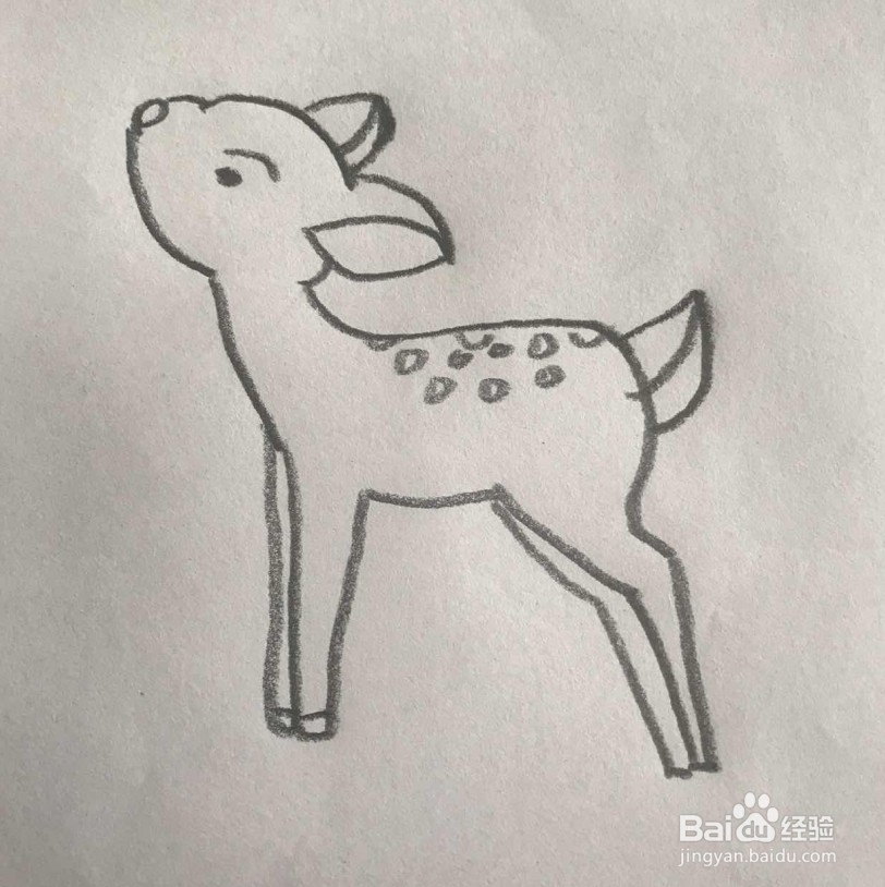 【简笔画】小梅花鹿的分步画法