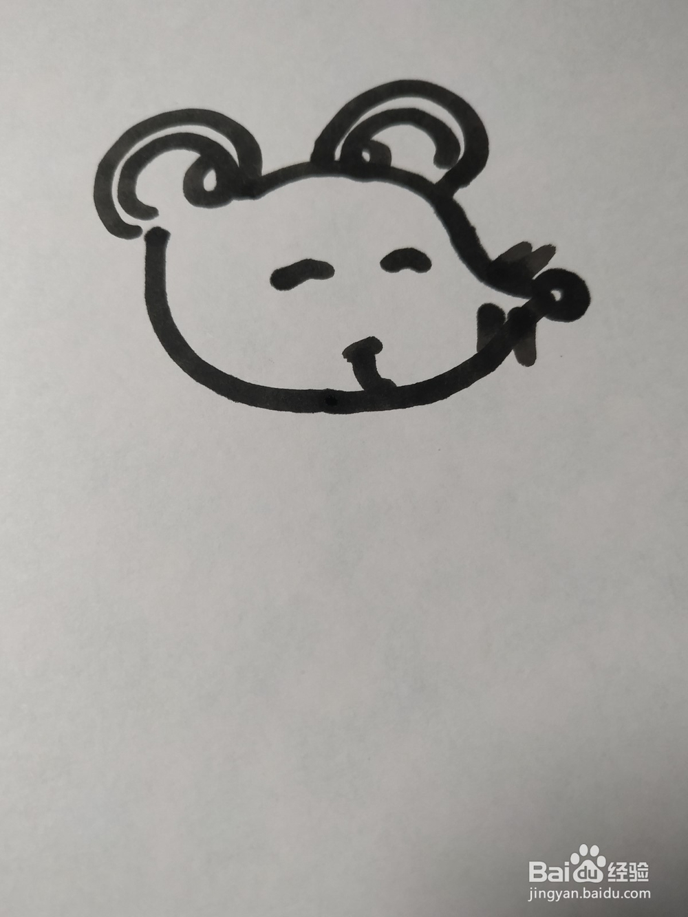 老鼠的简笔画技法36