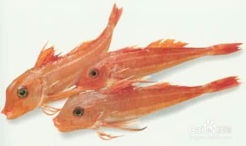 在生产鱼糜过程中怎么处理鱼腥味