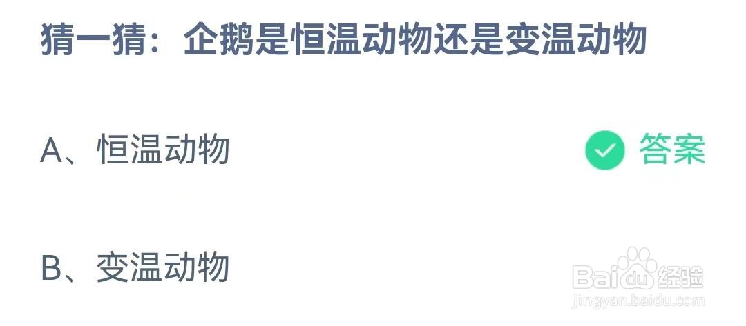 企鹅是恒温动物还是变温动物