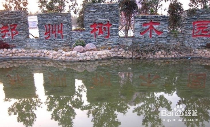 郑州踏春好去处