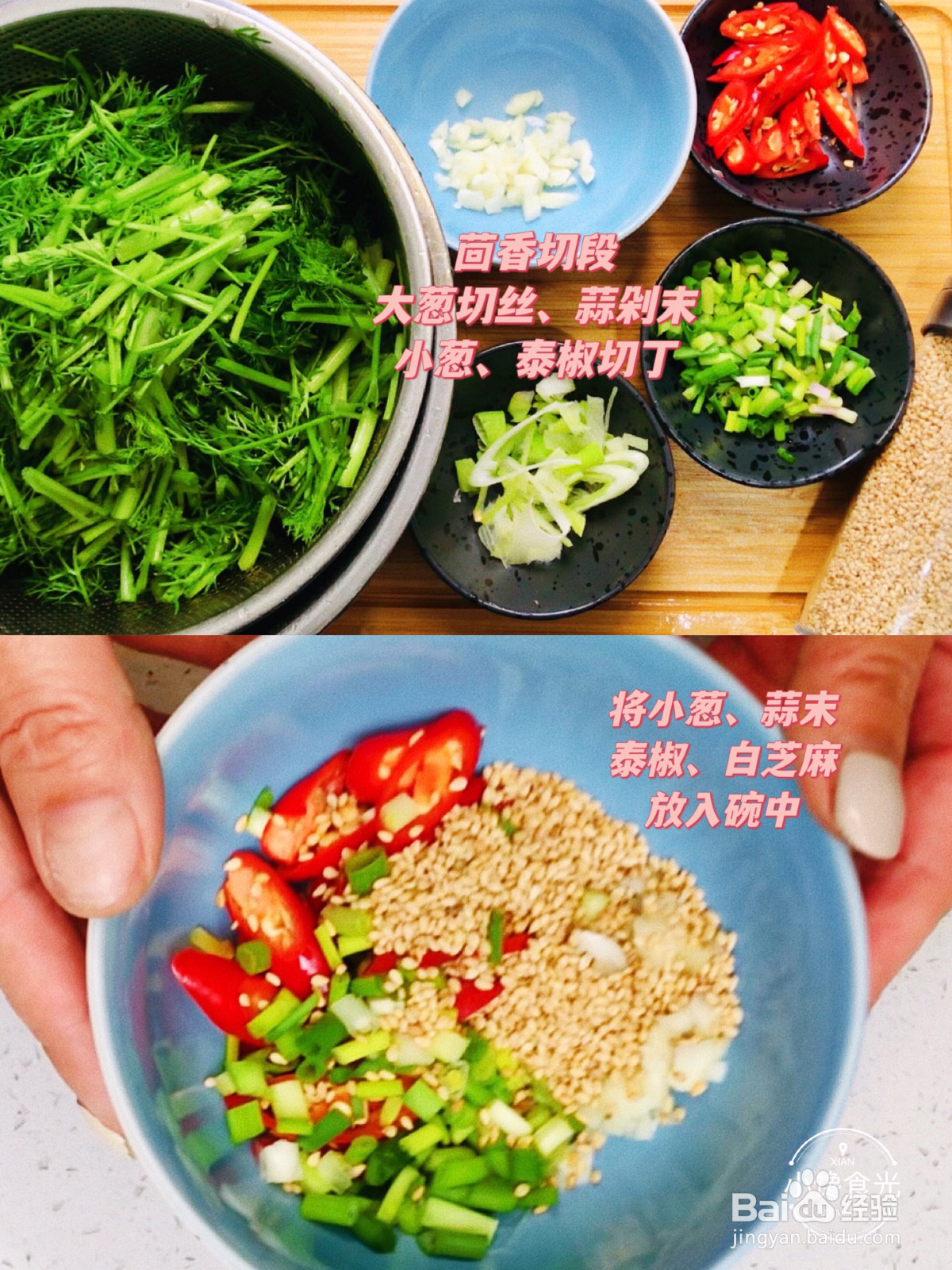 生拌芝麻茴香菜的做法