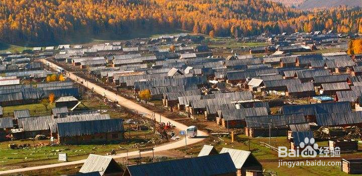 喀纳斯旅游攻略