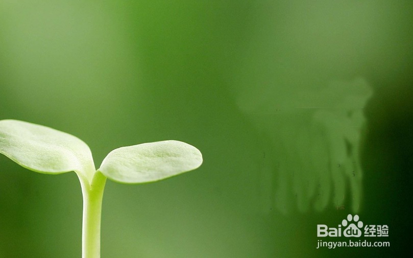 如何用Photoshop去掉图片不要的内容?