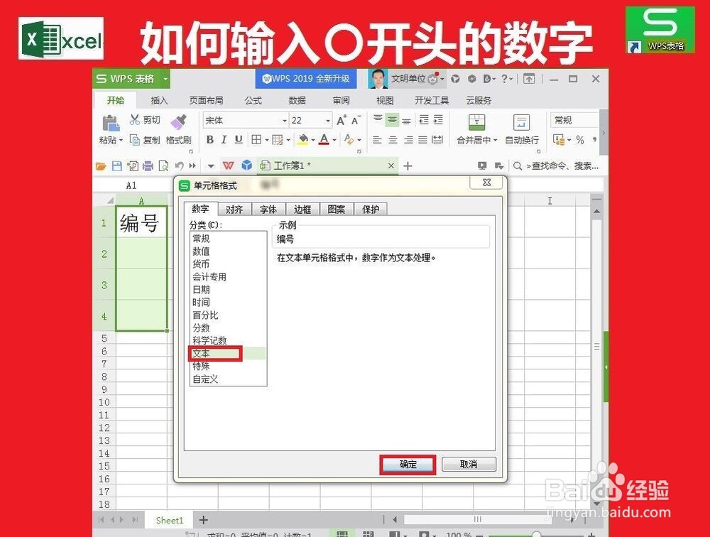 单元格怎么输入0开头的数字
