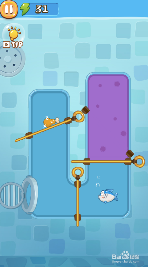 A Wise Fish的Level 12怎样通关?