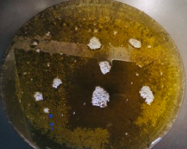 如何制作超好吃的下酒菜椒盐蘑菇