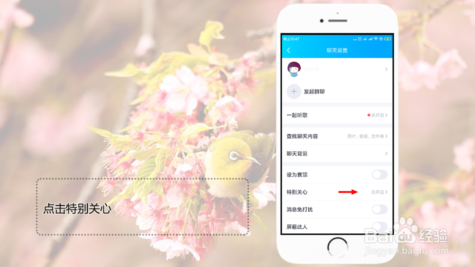 qq怎么设置特别关心个性提示音
