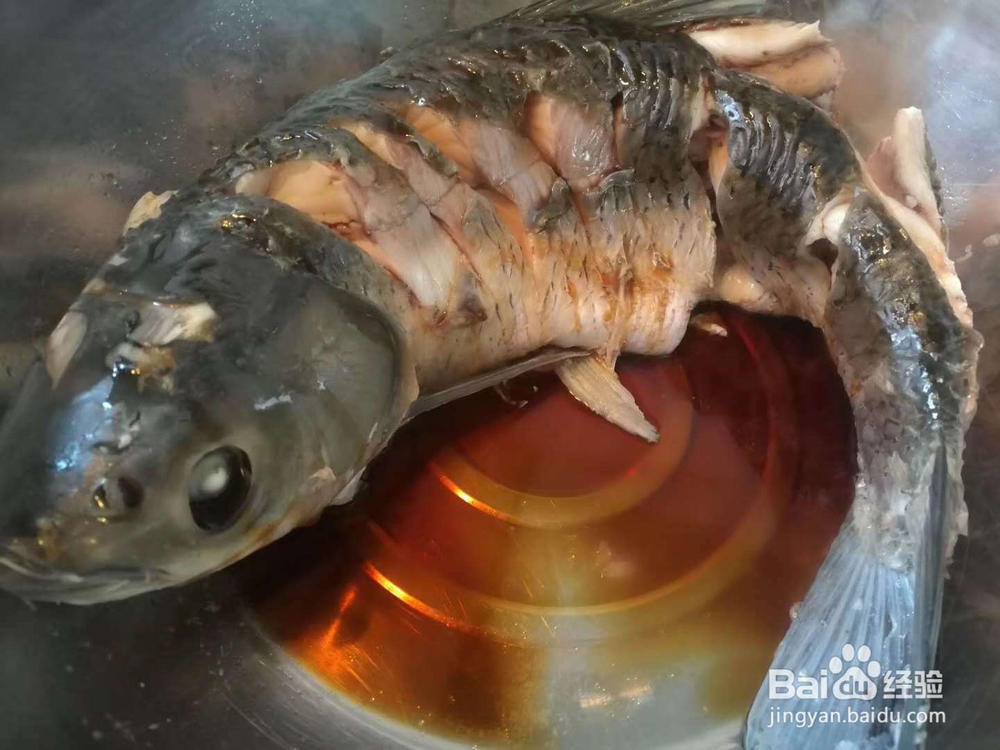 非常简单的水鱼