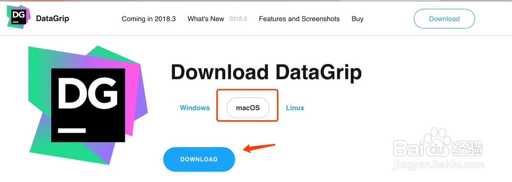 Mac如何安装DataGrip