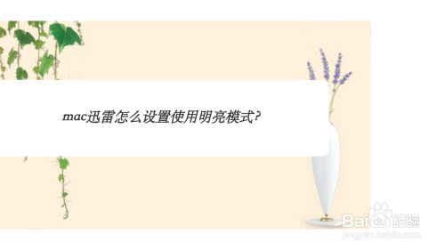 mac迅雷怎么设置使用明亮模式