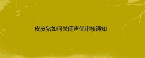 皮皮猪如何关闭声优审核通知