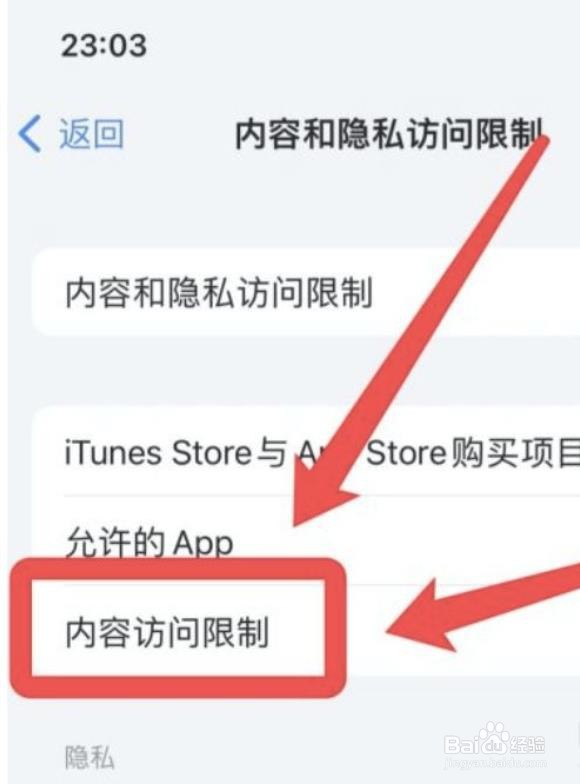 苹果app资源库怎么隐藏图标