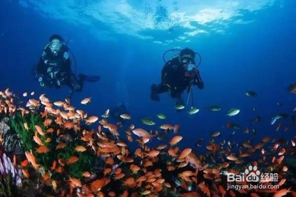 冬游攻略——海南旅游的正确打开方式
