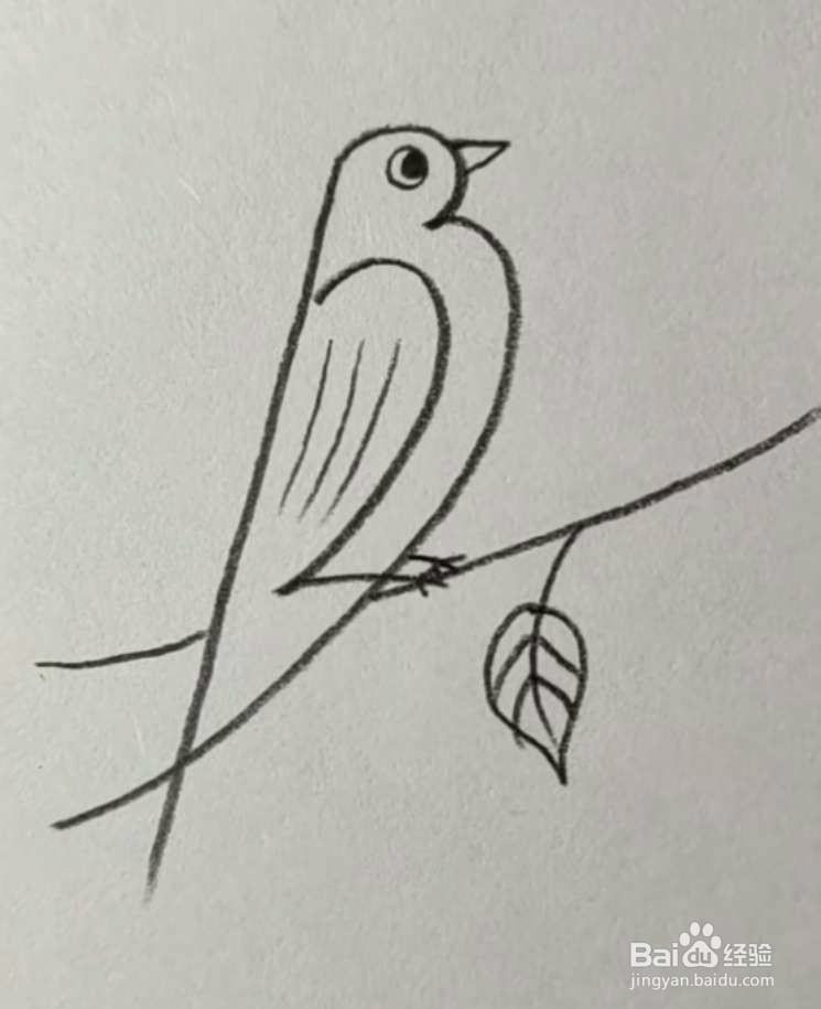 #我来了#简笔画小鸟怎么画？