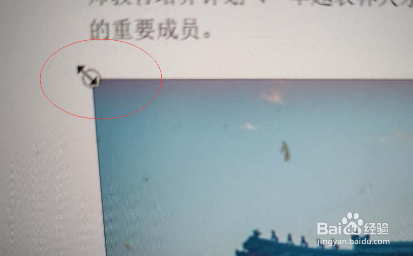 word如何调整图片过大