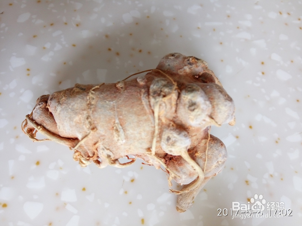 如何辨别三七的优劣,种植园技术员为您解惑