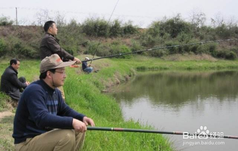 野钓怎样找好钓点?野钓如何钓到更多的鱼?