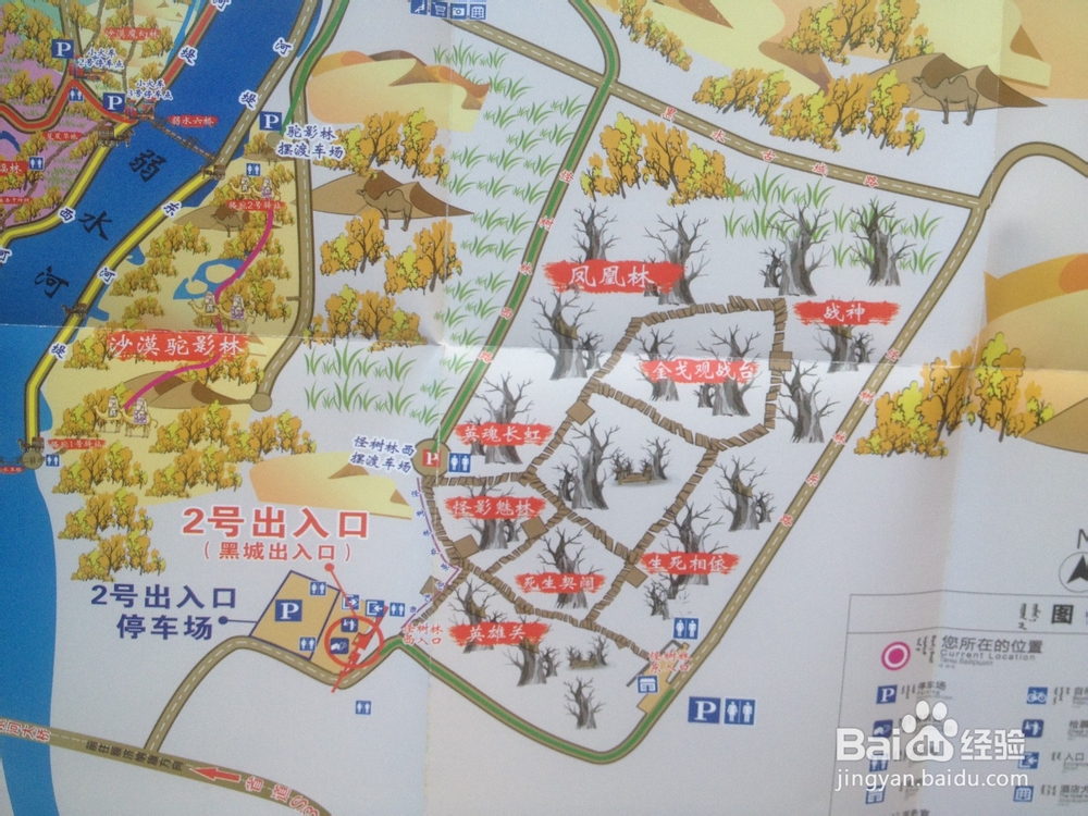 额济纳旗黑城·弱水胡杨景区自助游攻略