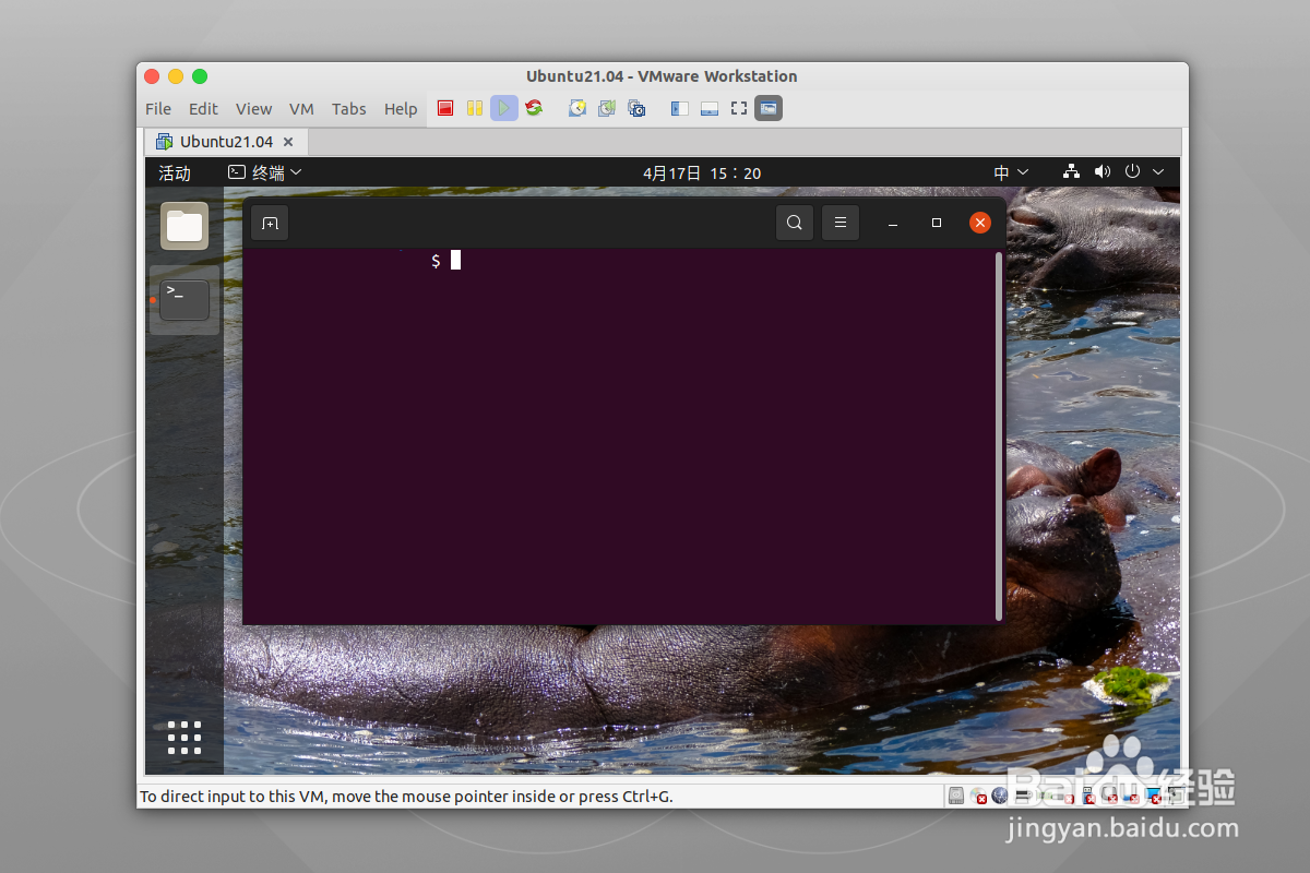 ubuntu21.04安装软件的三种方式