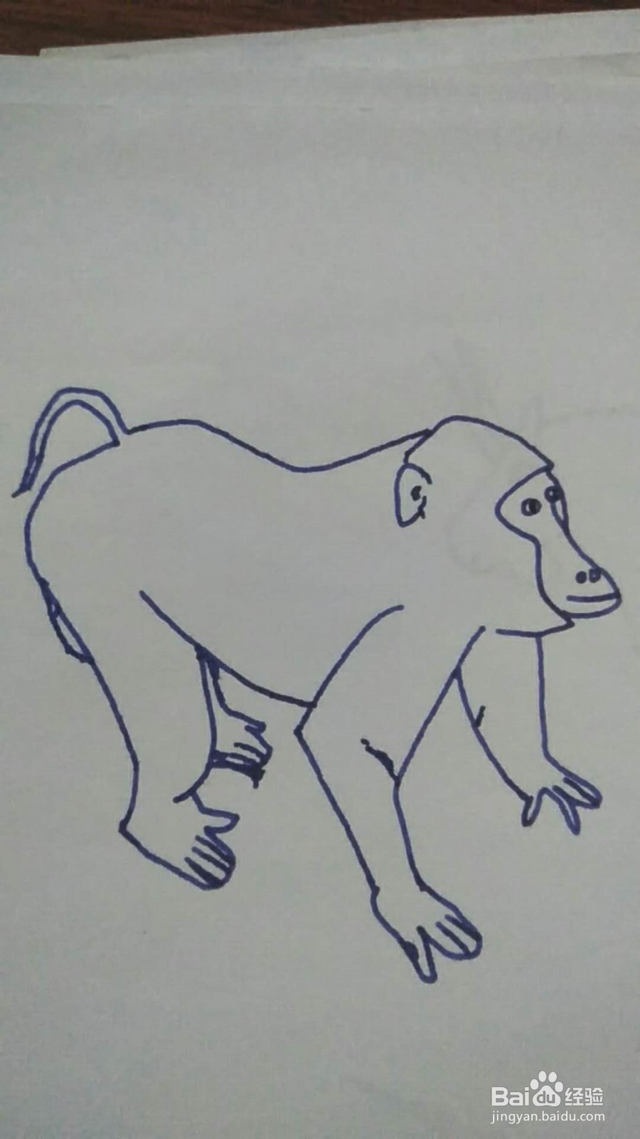 简笔画之俯身猴子
